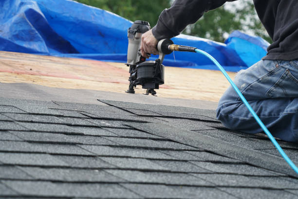 Best Roof Gutter Cleaning  in Highpoint, OH